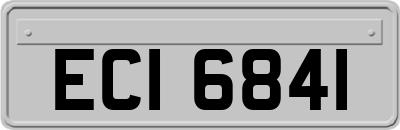 ECI6841