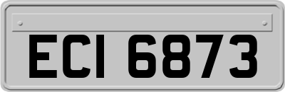 ECI6873