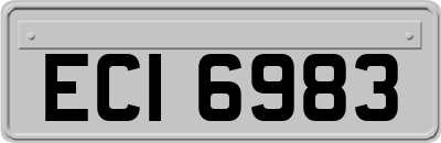 ECI6983