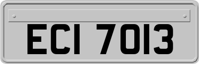 ECI7013