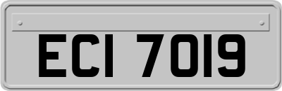 ECI7019