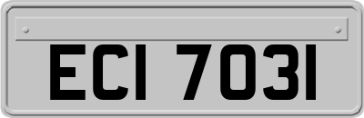 ECI7031