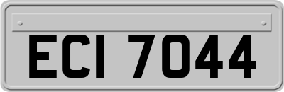 ECI7044