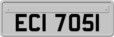 ECI7051