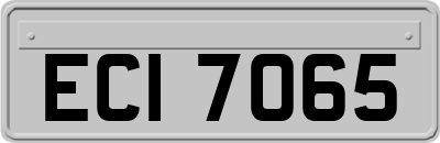 ECI7065