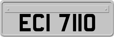 ECI7110