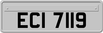 ECI7119