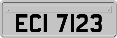 ECI7123