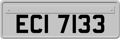 ECI7133