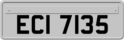 ECI7135