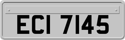 ECI7145
