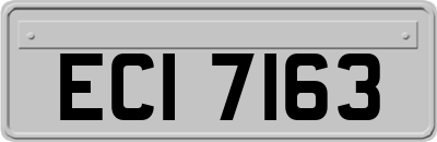 ECI7163