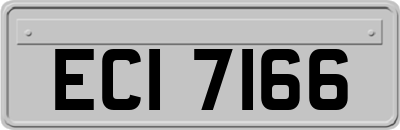 ECI7166