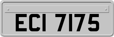 ECI7175