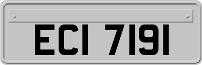 ECI7191