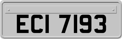 ECI7193