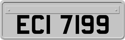 ECI7199