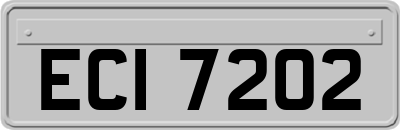ECI7202