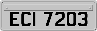 ECI7203