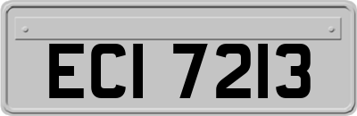 ECI7213
