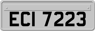ECI7223