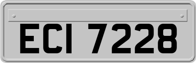 ECI7228