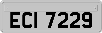 ECI7229