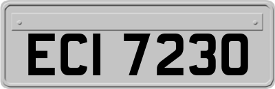 ECI7230