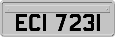 ECI7231
