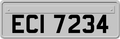 ECI7234