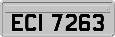 ECI7263