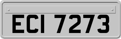 ECI7273