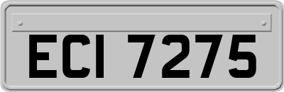 ECI7275