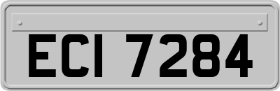 ECI7284