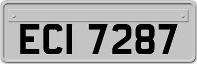 ECI7287