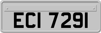 ECI7291