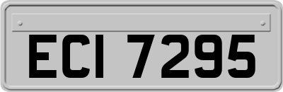 ECI7295