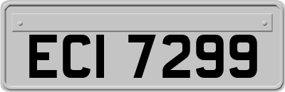 ECI7299