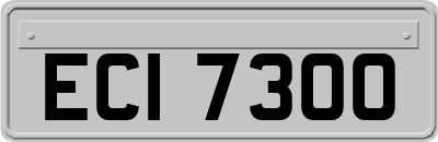 ECI7300