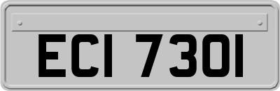 ECI7301