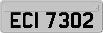 ECI7302