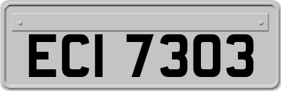 ECI7303