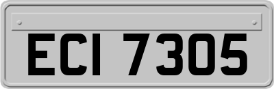 ECI7305