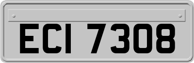ECI7308