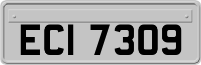 ECI7309