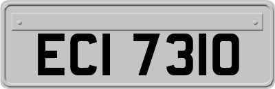 ECI7310