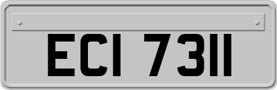 ECI7311