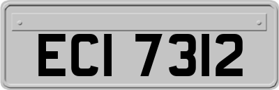 ECI7312