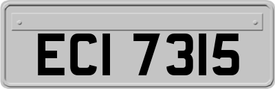 ECI7315