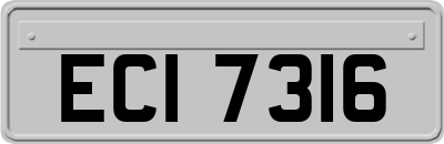 ECI7316